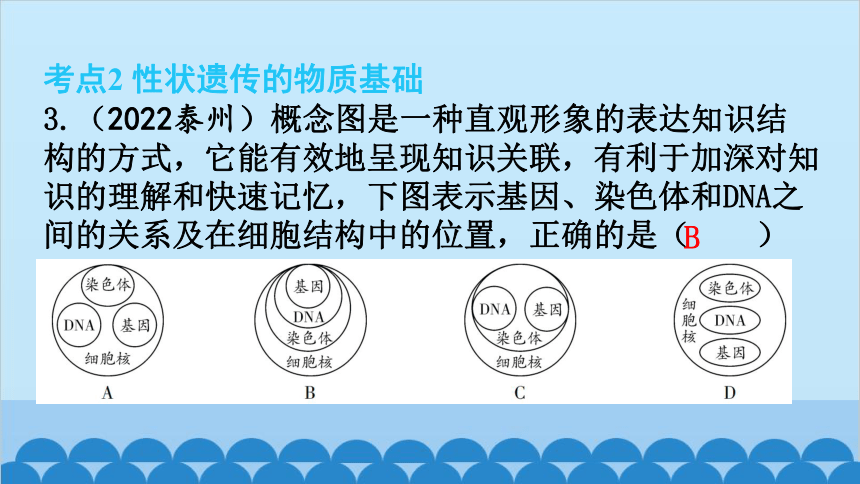 6.20生物的遗传和变异 章 末 总 结课件(共27张PPT)北师大版生物八年级上册