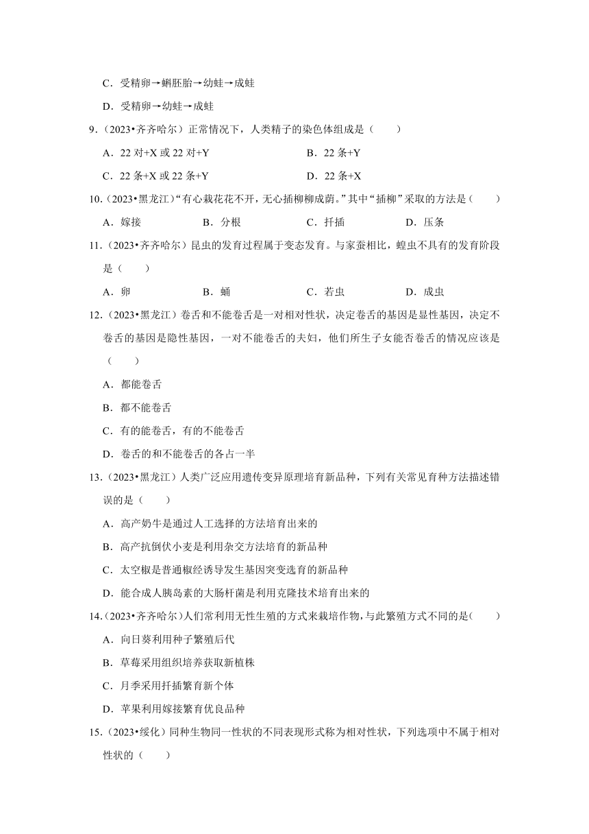 专题5生物的生殖、发育与遗传——2022-2023年黑龙江省中考生物试题分类（含解析）