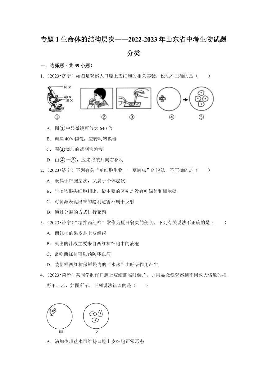 专题1生命体的结构层次——2022-2023年山东省中考生物试题分类（含解析）