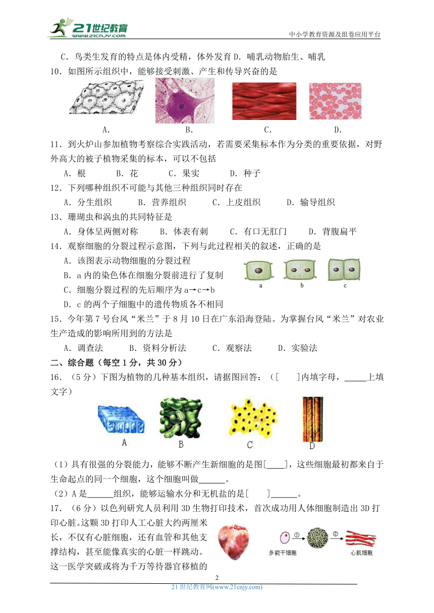 2023—2024学年七年级生物冀少版上册期末测试卷（三）（含答案）