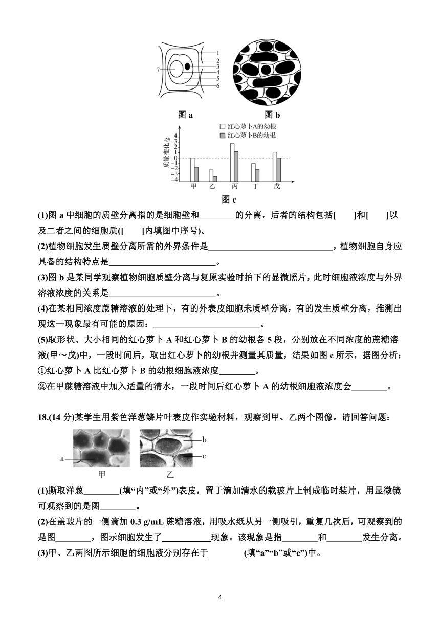 第四章　细胞的物质输入和输出（综合测试卷）（附答案）—2023-2024学年人教版(2019）生物高一上学期必修1