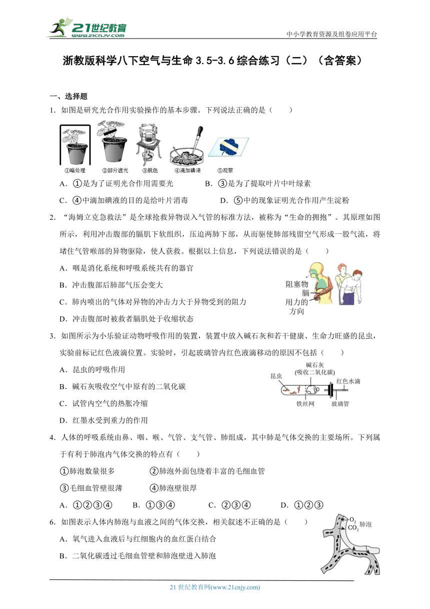 浙教版科学 八下 3.5-3.6综合练习（二）（含答案）