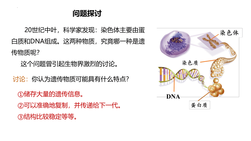3.1DNA是主要的遗传物质课件(共30张PPT)-人教版（2019）必修2