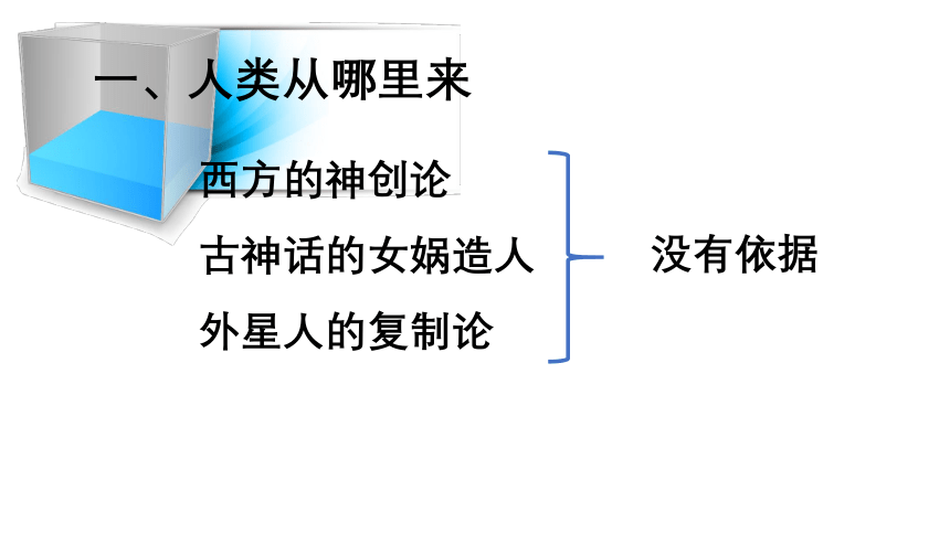 4.1.1人的起源和发展课件 (共19张PPT+视频1个)人教版生物七年级下册