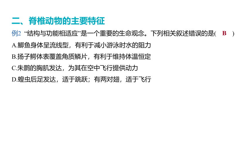 2024年山东省中考生物（济南版）2.2.1 动物的主要类群课件（共38张PPT)