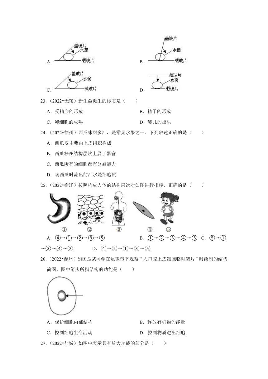 专题1生命体的结构层次——2022-2023年江苏省中考生物试题分类（含解析）