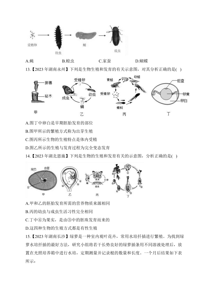 （17）生物的生殖与发育——2023年中考生物真题专项汇编（含答案）