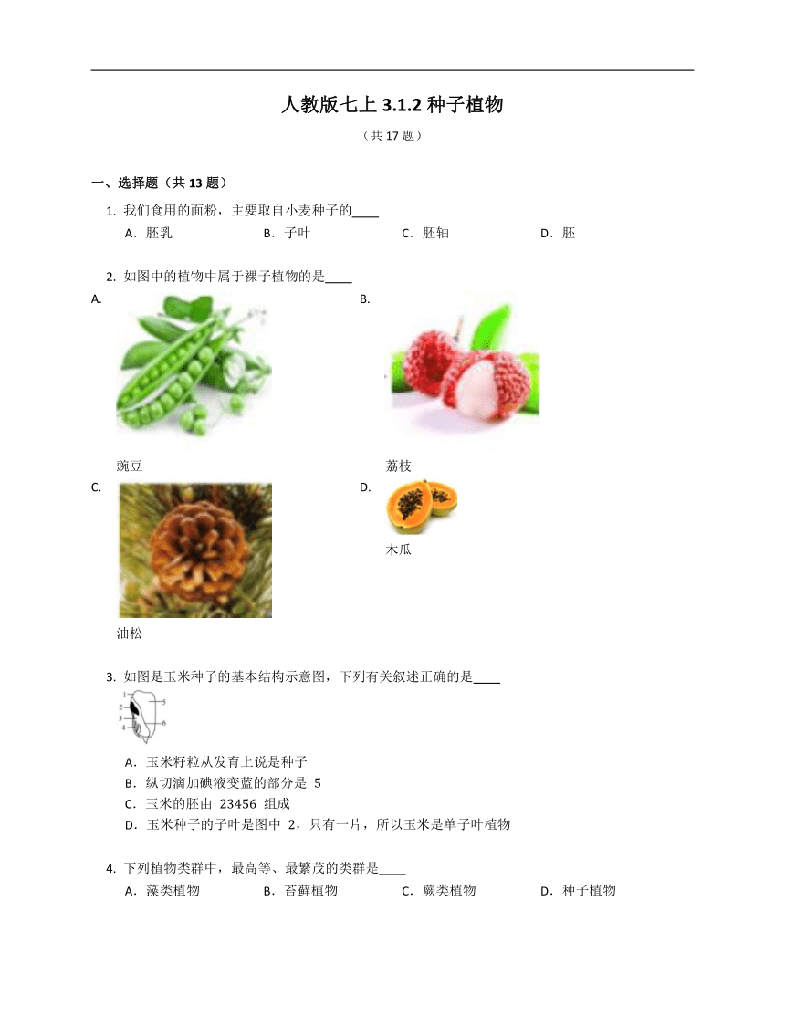 3.1.2种子植物同步练习（含答案）人教版七年级上册