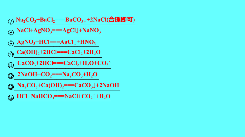 2024湖南中考复习 人教版化学 第十一单元　盐　化肥　课件(共50张PPT)