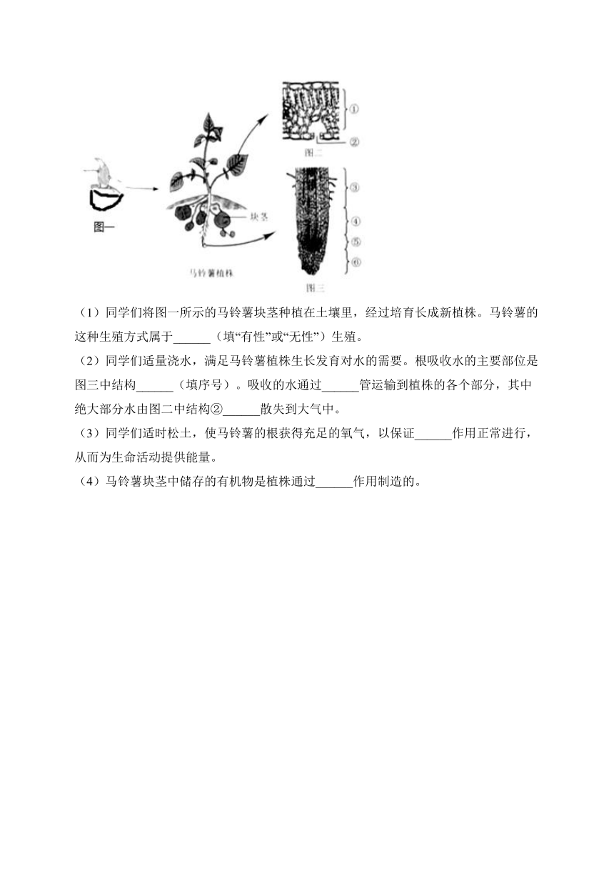 （3）绿色开花植物的一生——2023年中考生物真题专项汇编（含答案）