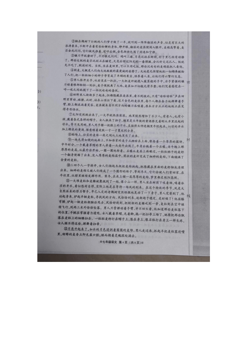 河北省沧州市肃宁县2023-2024学年上学期七年级期中考试语文试题（图片版，无答案）