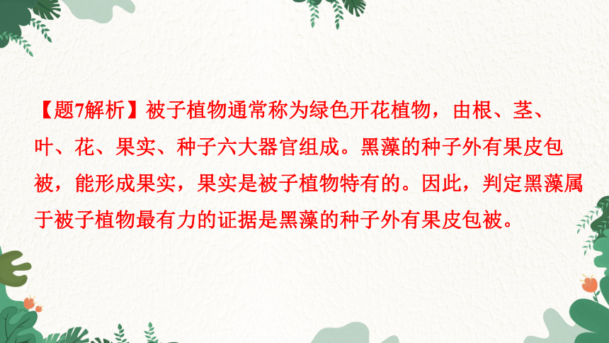 3.1.2种子植物习题课件(共26张PPT)人教版生物七年级上册