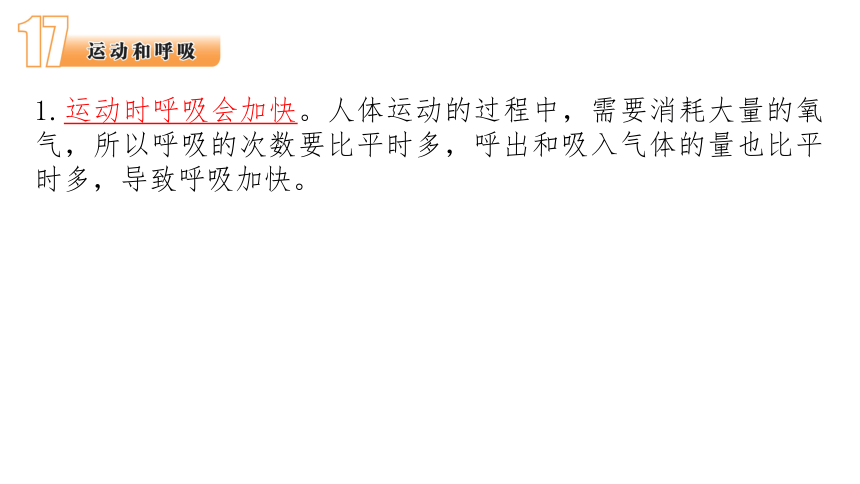 苏教版（2017版）三年级科学上册《第5单元 人的呼吸和消化》期末知识点回顾 课件（30张PPT）