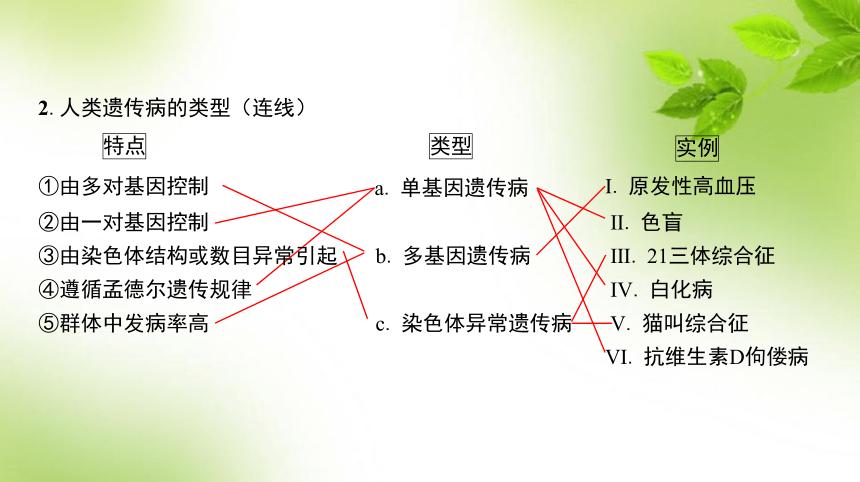 人教高考生物一轮复习课件：第20讲　人类遗传病(共47张PPT)