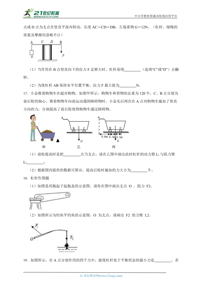 华师大版科学九上期末专题复习：杠杆（含答案）