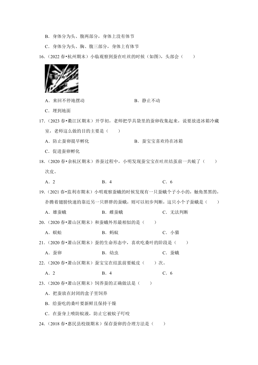 浙江省杭州市三年级下学期期末科学试题汇编 -高频考点01-蚕的形态和生命周期（选择题）(含解析答案）-三年级下册教科版