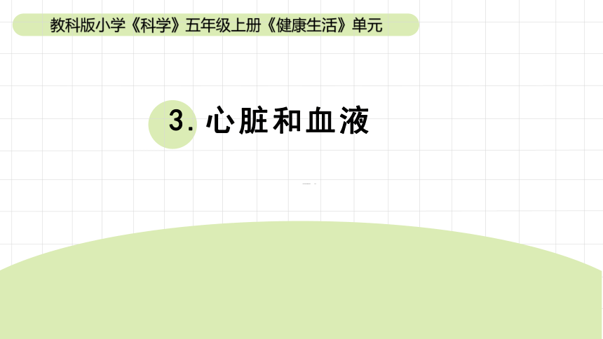 2023秋教科版五年级科学上册 4-3《心脏和血液》（课件）(共16张PPT)