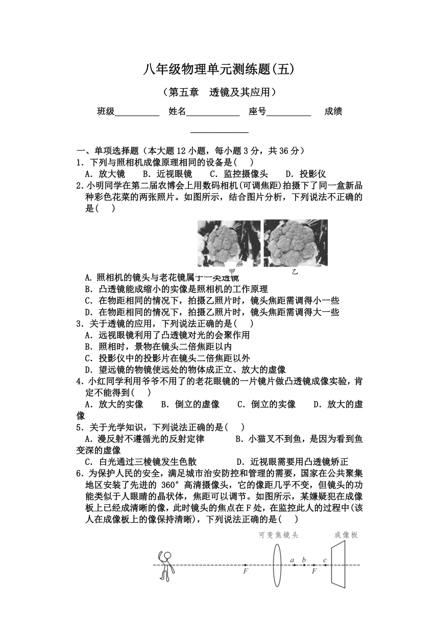 第五章  透镜及其应用  期末单元检测   2023-2024学年人教版物理八年级上册（含答案）