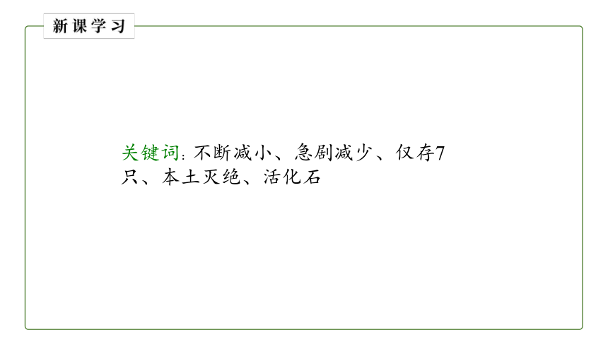 6.3 保护生物多样性课件（共31张PPT）人教版八年级生物上册