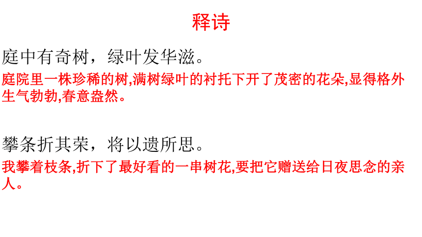 课外古诗词诵读《庭中有奇树》课件（共20张ppt）