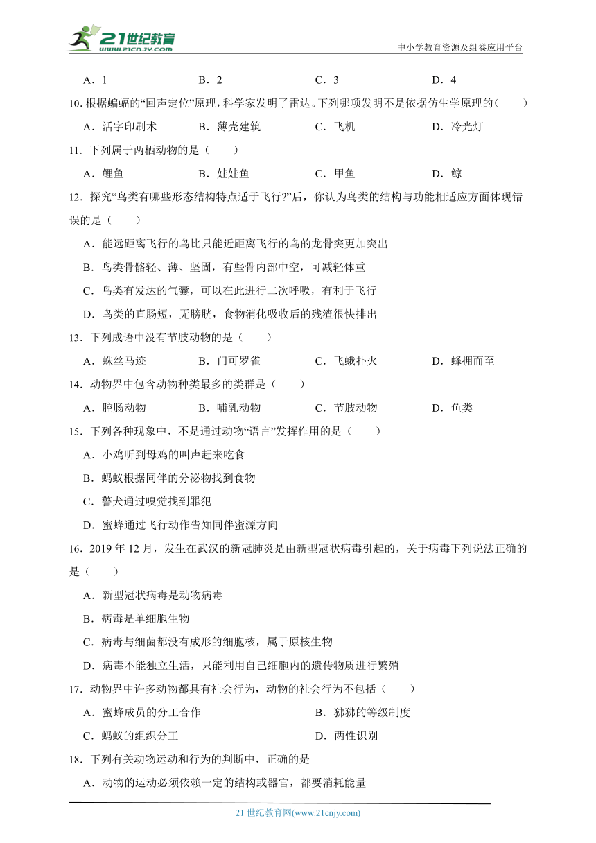 八年级上5.5生物圈中的其他生物基础知识测试题（含解析）