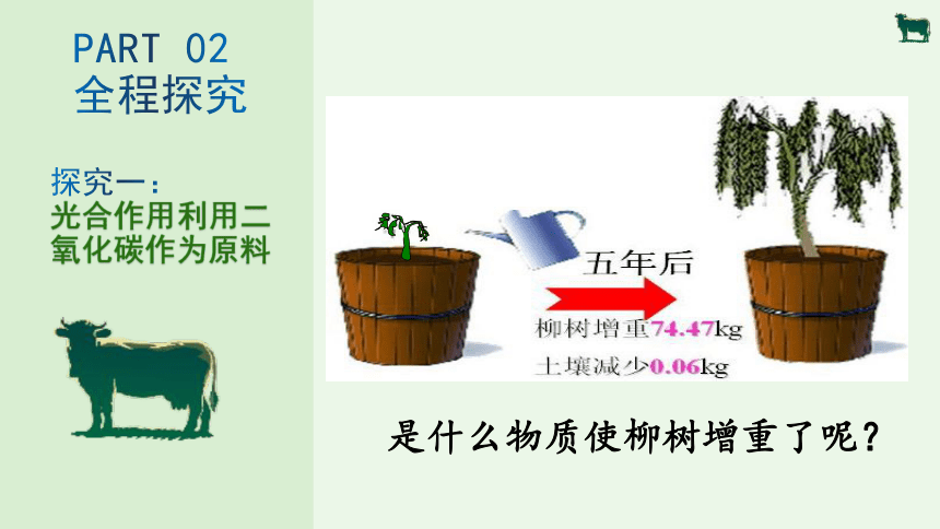 3.5.1 光合作用吸收二氧化碳释放氧气-【备课精选】2023-2024学年七年级生物上册同步教学精品课件(共22张PPT)