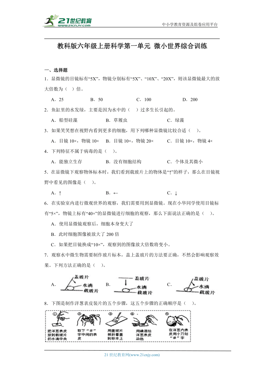 教科版（2017秋）小学科学 六年级上册 第一单元 微小世界 综合训练（含答案）