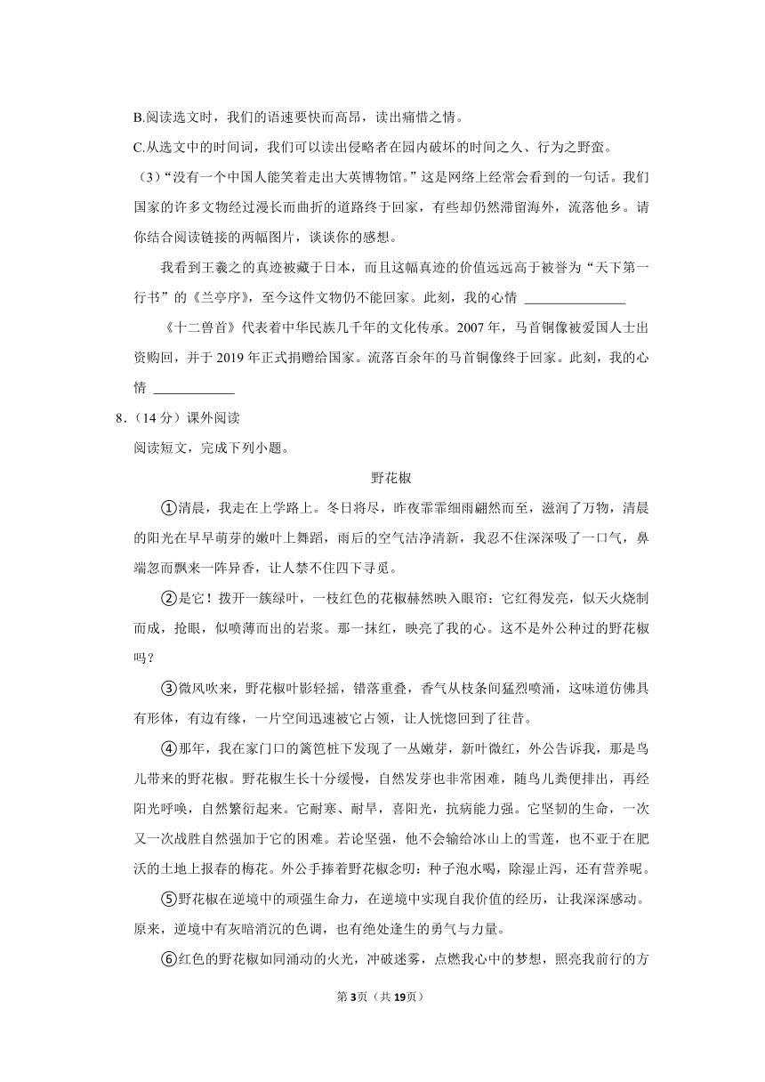 安徽省亳州市涡阳县2023-2024学年五年级上册期中语文试卷（含解析）