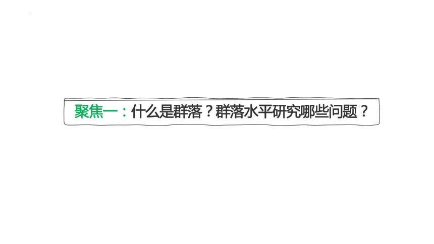 2.1群落的结构课件 （共33张PPT）人教版选择性必修2