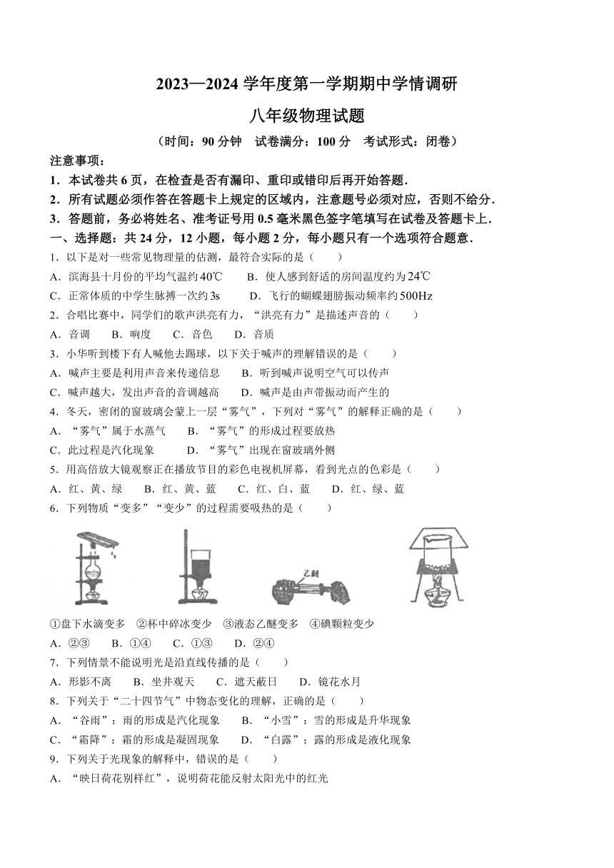 江苏省盐城市滨海县2023-2024学年八年级上学期11月期中物理试题（含答案）