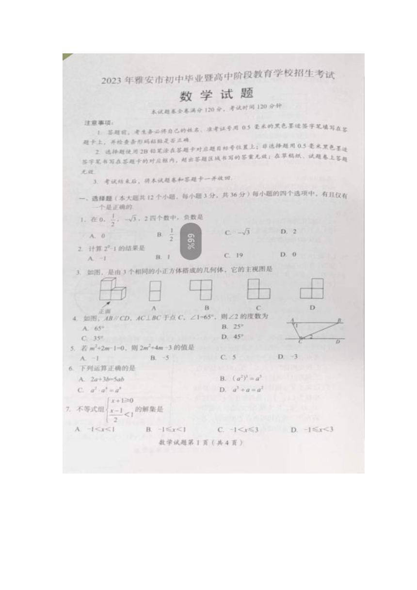 2023年四川省雅安市数学中考真题（图片版、无答案）