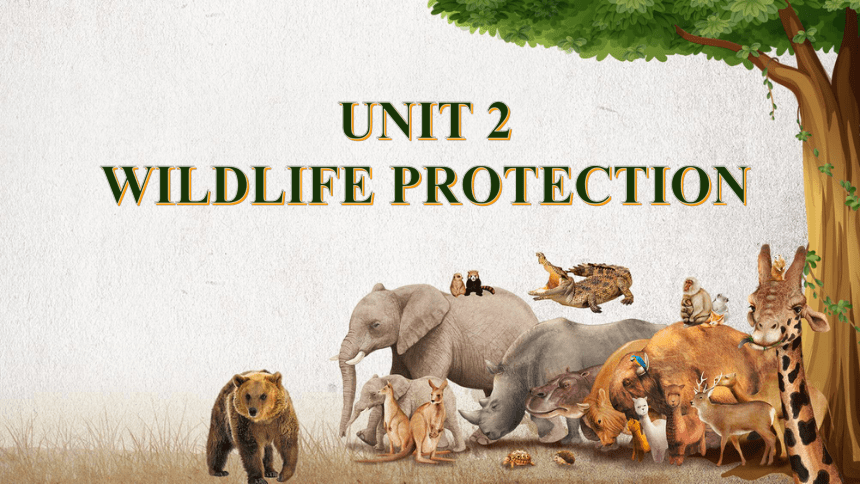 人教版（2019）必修二 Unit 2 Wildlife protection Reading for Writing课件(共41张PPT)