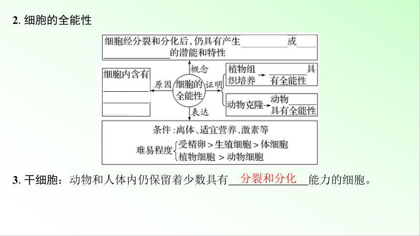 新教材生物一轮复习课件：第4单元 细胞的生命历程 第3讲　细胞的分化、衰老和死亡(共73张PPT)