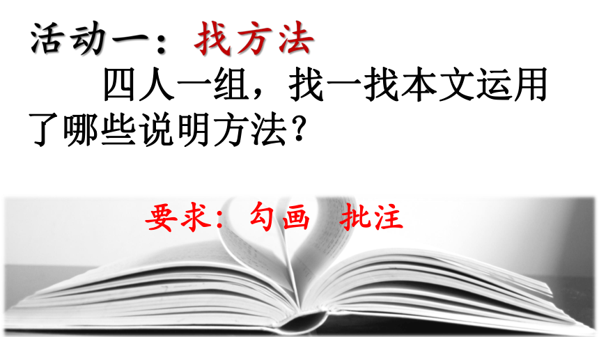 统编版八年级上第18课《中国石拱桥》课件(共21张PPT)