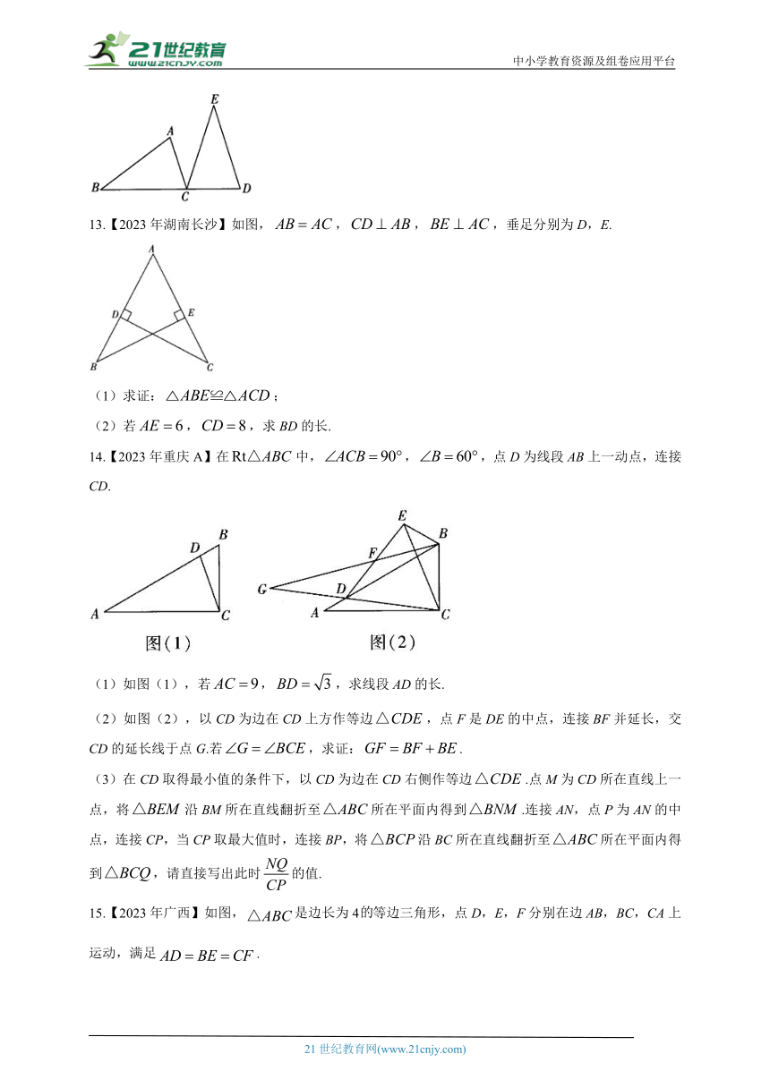 （5）三角形——2023年中考数学真题专项汇编（含解析）