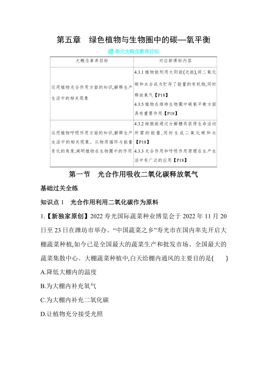 3.5.1光合作用吸收二氧化碳释放氧气素养提升练（含解析）人教版生物七年级上册