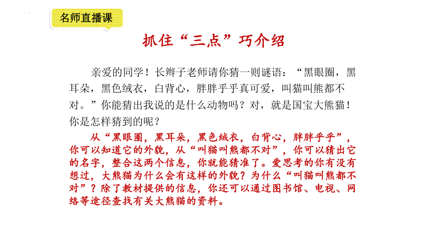 三年级语文下册第七单元习作：国宝大熊猫 课件(共13张PPT)