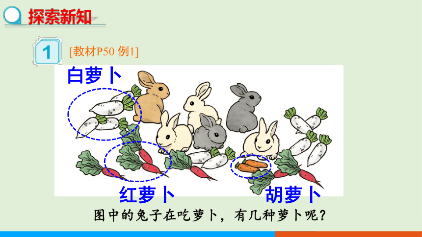 人教版数学三年级上册5.1 认识倍 课件（共19张PPT）