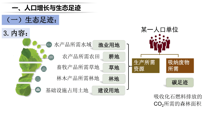 生物人教版（2019）选择性必修2 4.1人类活动对生态环境的影响课件（共39张ppt）