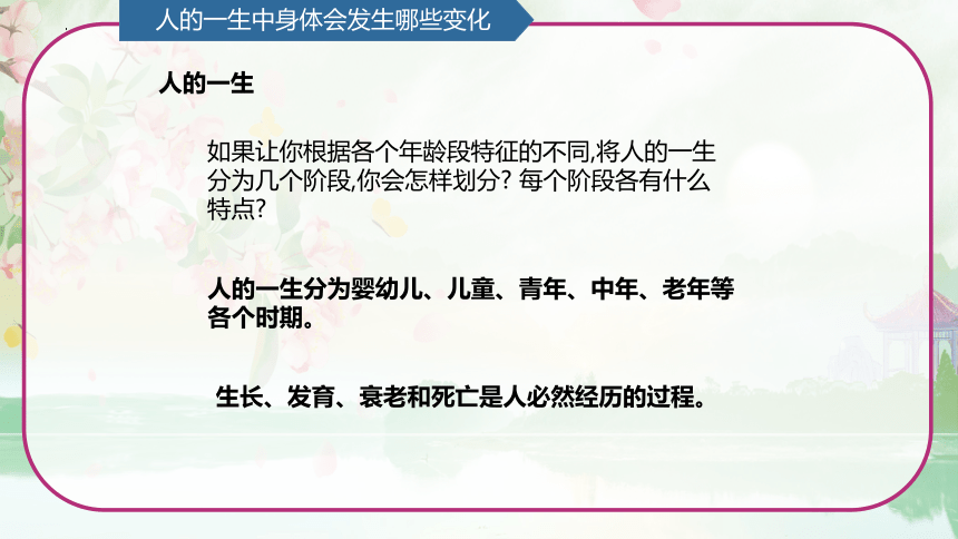 第6单元   防疫与保健 6.3 青春期保健 （课件）(共15张PPT)青岛版六年级科学上册