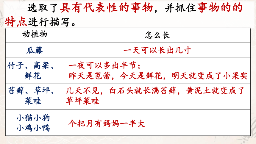 统编版语文六年级上册《第五单元课文复习》课件(共19张PPT)