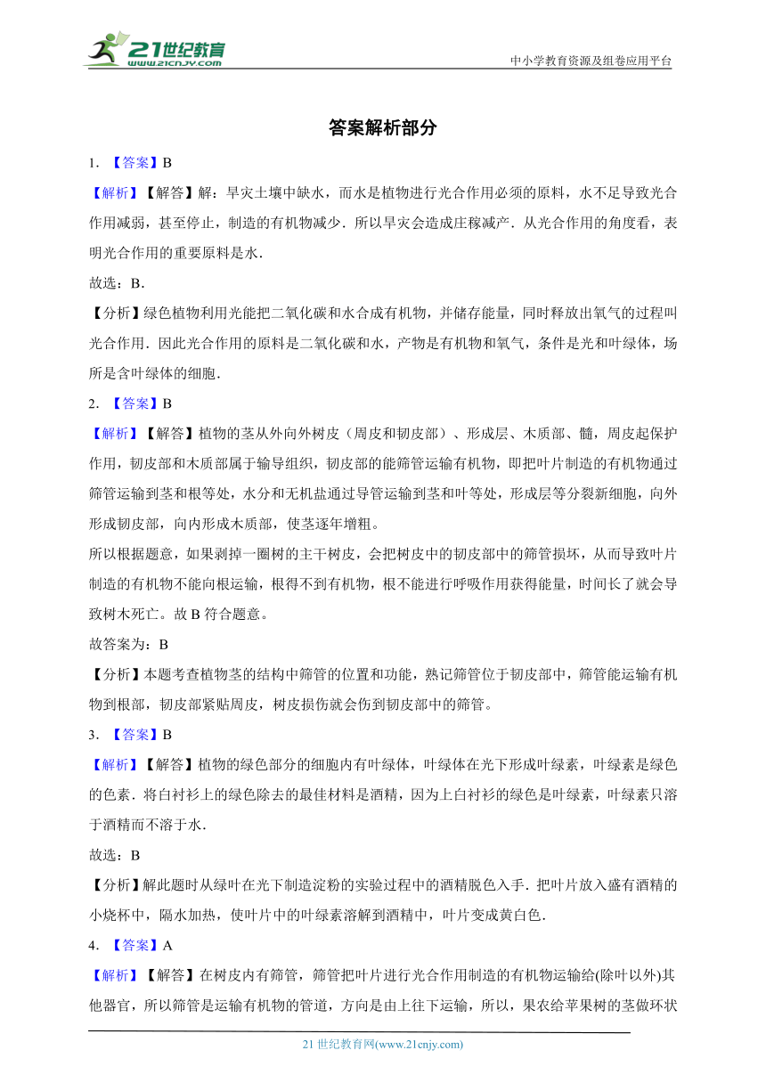 3.4绿色植物是生物圈中有机物的制造者一课一练（含解析）