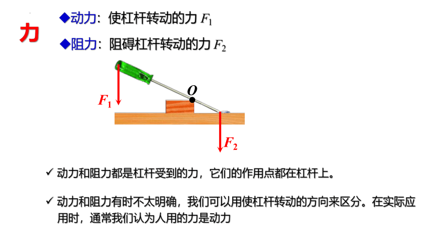 6.５《探究杠杆的平衡条件》（课件）(共30张PPT) 八年级物理（沪粤版下册）