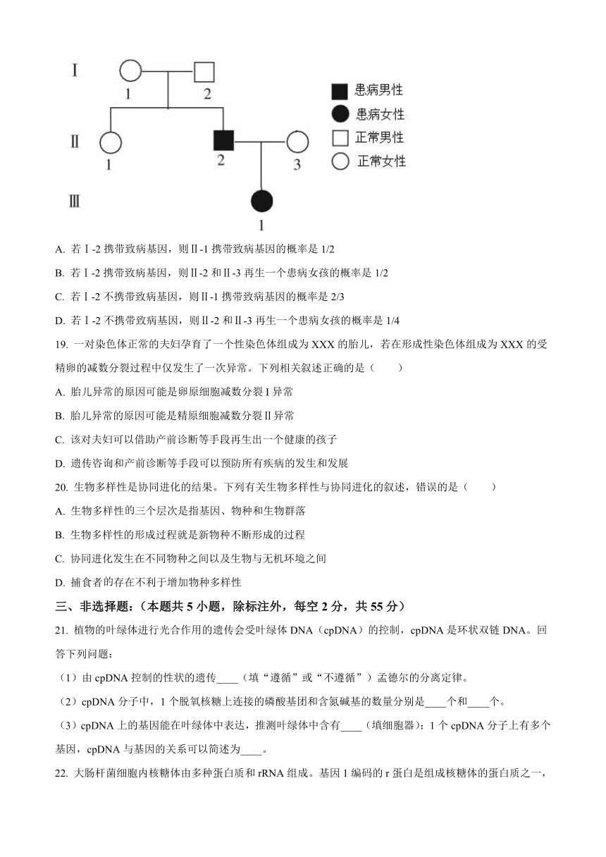 江西省宜春市百树学校2023-2024学年高三上学期期中考试生物学试题（含答案）