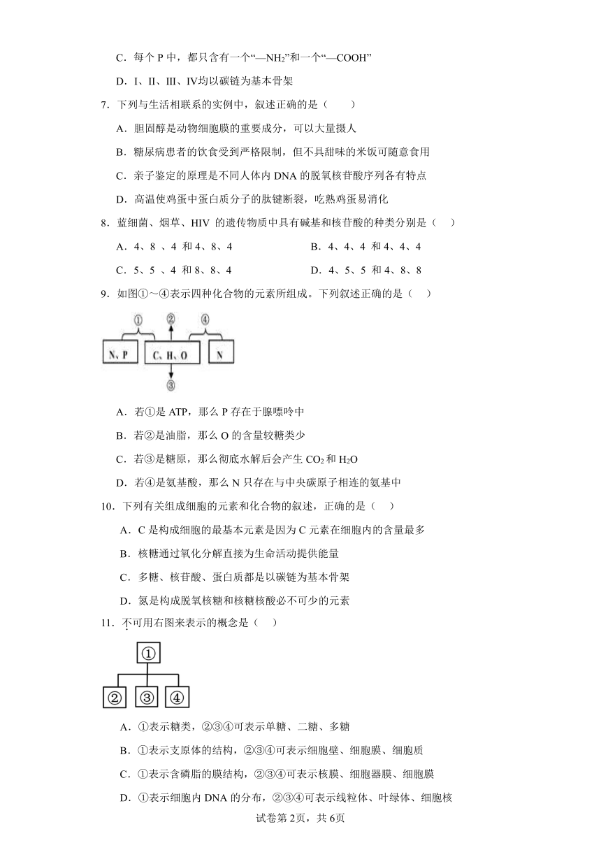 人教版高中生物必修一第2章第5节核酸是遗传信息的携带者同步练习（含答案）