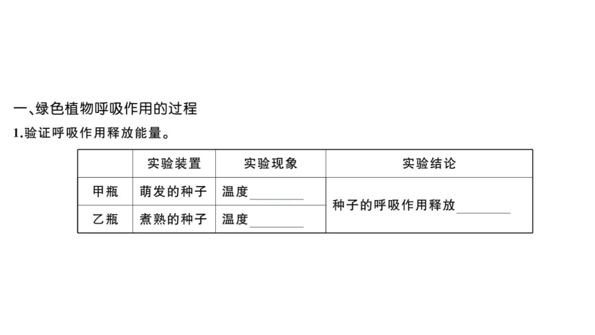 3.5.2绿色植物的呼吸作用习题课件(共23张PPT)