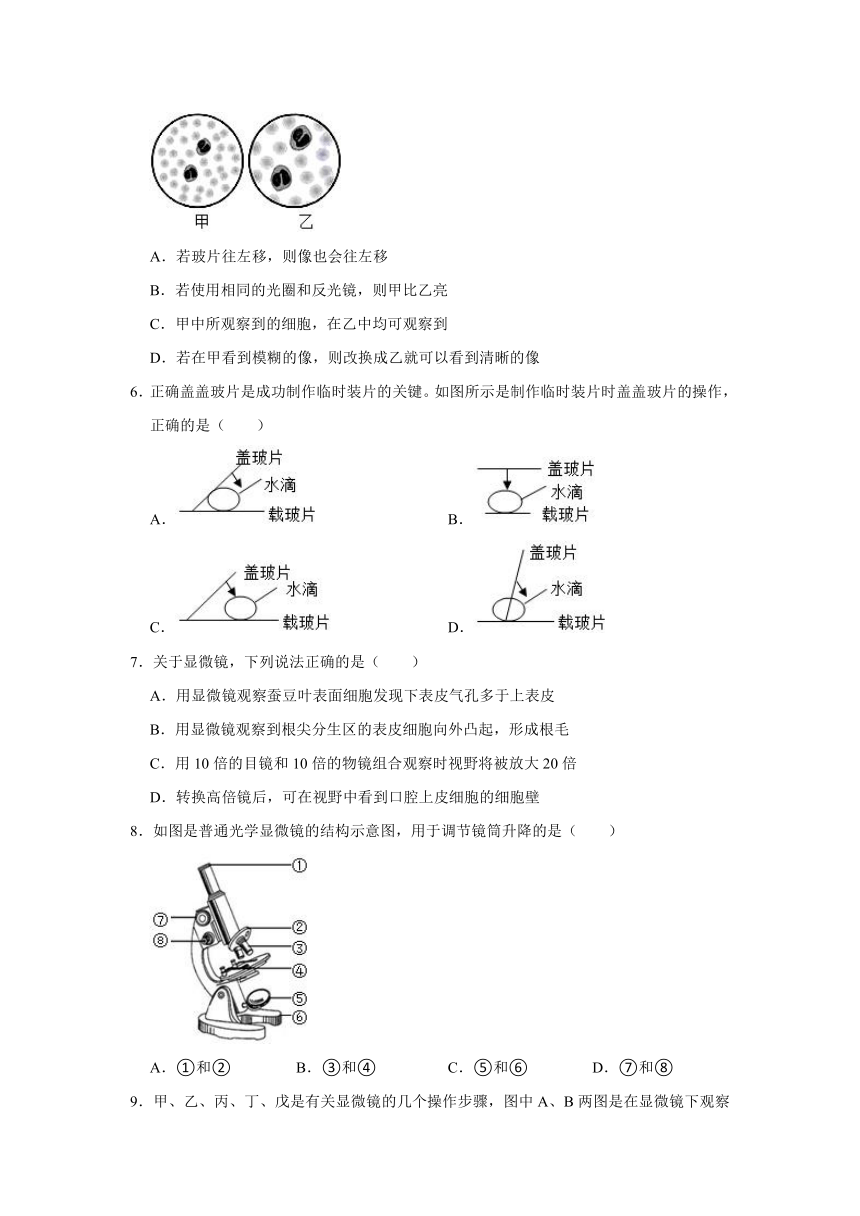 3.1生物的基本单位同步练习（含答案） 牛津上海版六年级上册科学