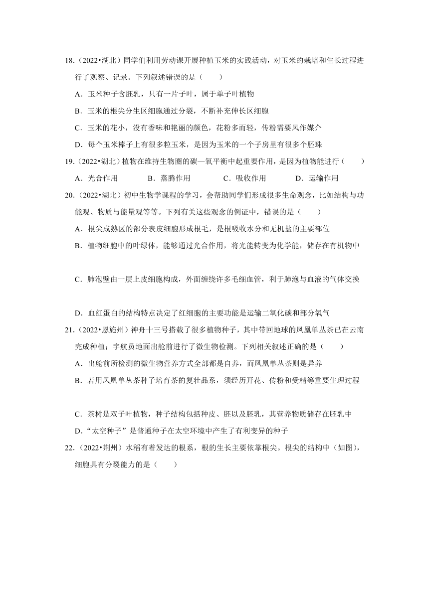 专题3绿色植物——2022-2023年湖北省中考生物试题分类（word版+解析版）