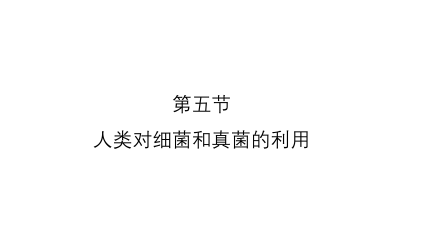 5.4.5 人类对细菌和真菌的利用课件 （共19张PPT）人教版八年级生物上册