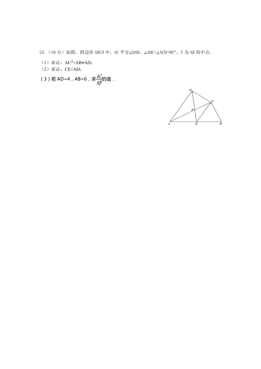 2023-2024学年湘教版九年级上册数学月清试卷 (内容 第三章――第五章）（无答案）